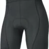 Gore C3 Liner Short Tights+ Fietsonderbroek Dames 1 Gore C3 Liner Short Tights+ Fietsonderbroek Dames -Castelli Winkel gore c3 women liner short tights black